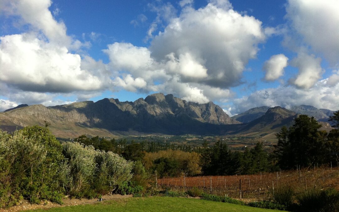 Viaggio enogastronomico in Sudafrica